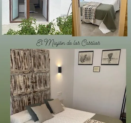 Gasthuis El Miajon De Castuos